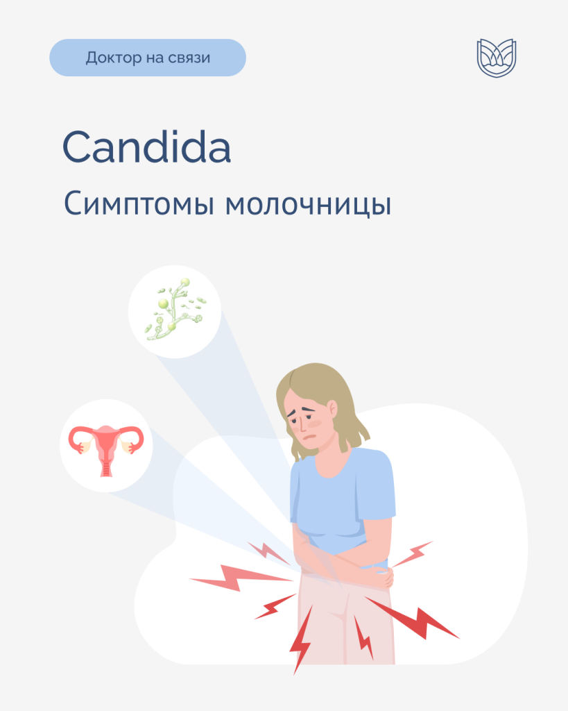 Candida - 1.png